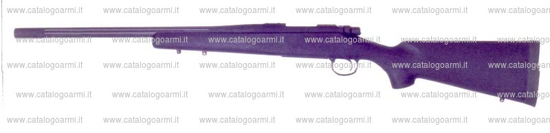 Carabina Remington modello 700 (13241)