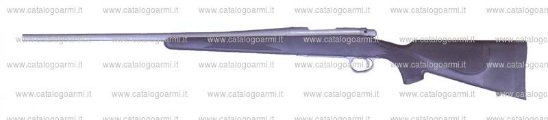 Carabina Remington modello 700 (13585)
