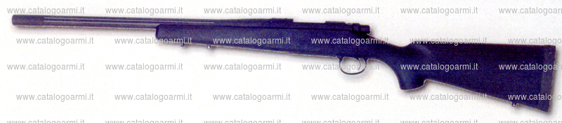 Carabina Remington modello 700 (15431)