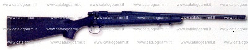 Carabina Remington modello 700 (15431)