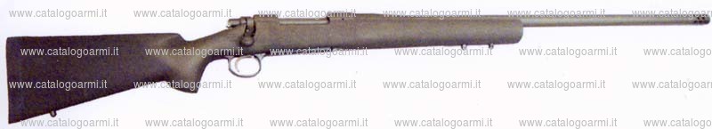 Carabina Remington modello 700 (17257)