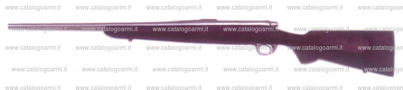 Carabina Remington modello 700 Titanium (13467)