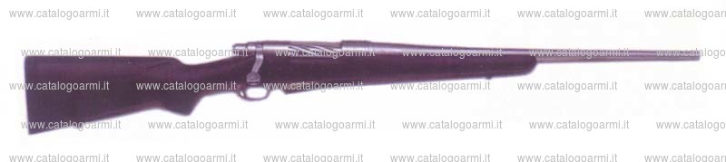 Carabina Remington modello 700 Titanium (13467)