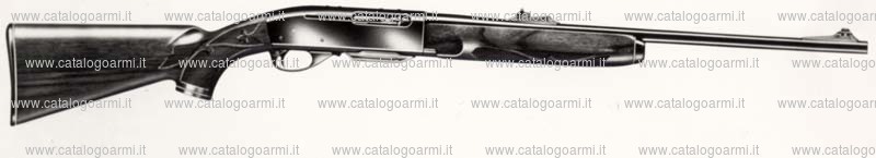 Carabina Remington modello 7400 (2819)