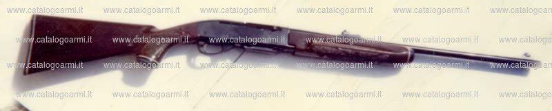 Carabina Remington modello 7400 Carbine (4154)