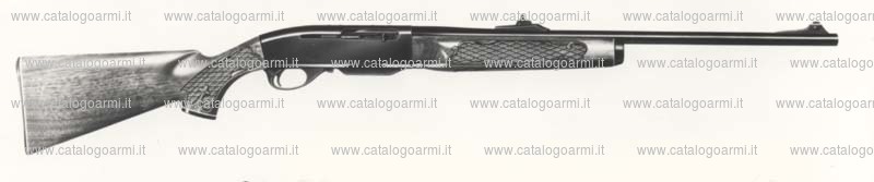 Carabina Remington modello 742 (741)