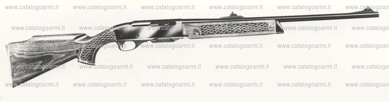 Carabina Remington modello 742 Carbine (614)