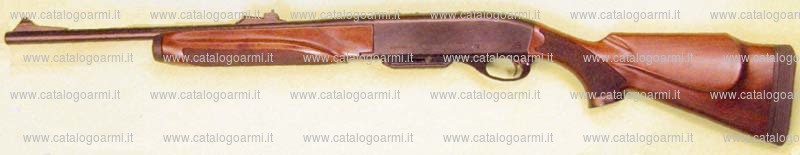 Carabina Remington modello 750 (16002)