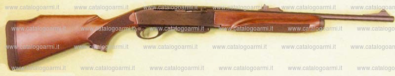 Carabina Remington modello 750 (16002)