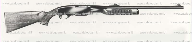 Carabina Remington modello 760 (464)