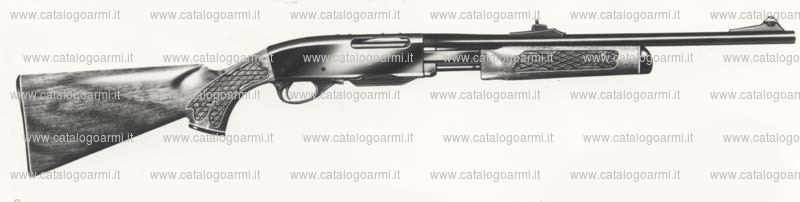 Carabina Remington modello 760 (598)