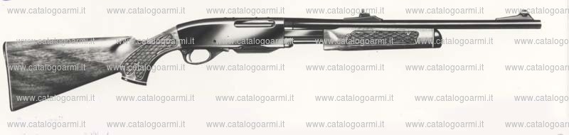 Carabina Remington modello 760 Carbine (494)