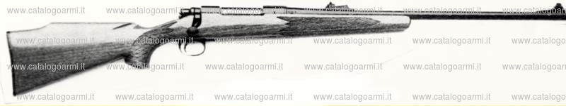 Carabina Remington modello ADL (3807)