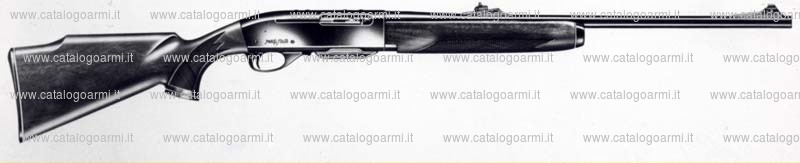 Carabina Remington modello Four (2813)