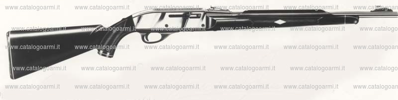 Carabina Remington modello Nylon 66 AB (428)