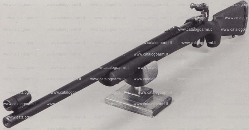 Carabina Remington modello SR 8 (10464)