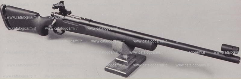 Carabina Remington modello SR 8 (10464)
