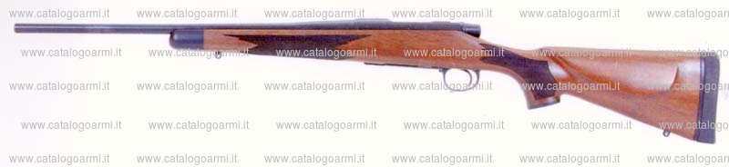 Carabina Remington modello Seven (16113)