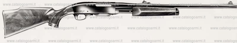 Carabina Remington modello Six (2802)