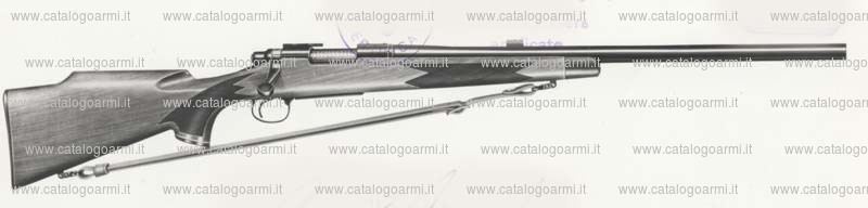Carabina Remington modello Varmint (412)