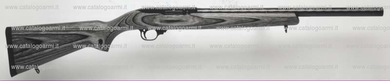 Carabina Ruger modello 10 22 T (10037)