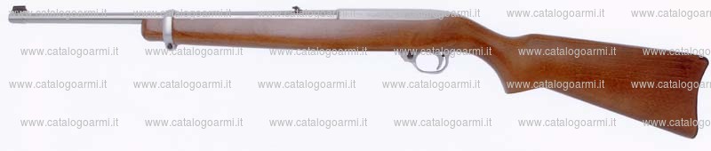 Carabina Ruger modello 10/22 CRR (16891)
