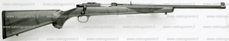 Carabina Ruger modello 77 22 RSM (8046)