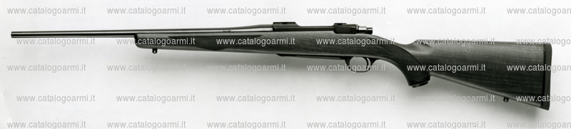 Carabina Ruger modello 77 Mark II (6225)