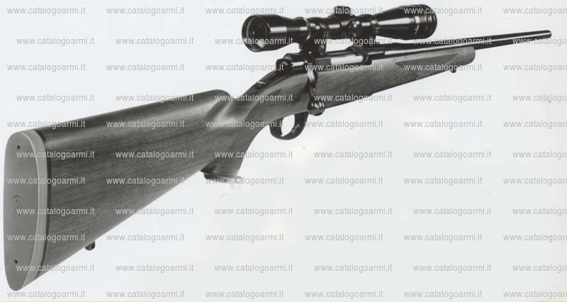 Carabina Ruger modello 77 R (645)