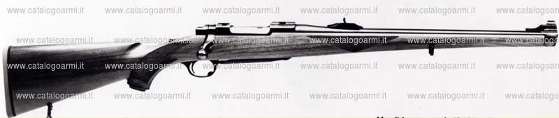 Carabina Ruger modello 77 RSI International (tacca di mira regolabile e mirino fisso) (3890)