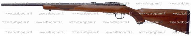 Carabina Ruger modello 77/17 (17553)