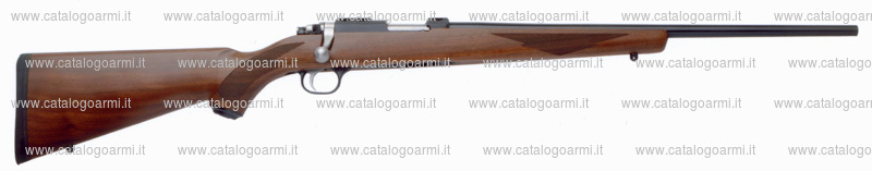 Carabina Ruger modello 77/17 (17553)