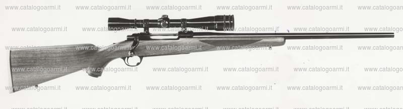 Carabina Ruger modello 77-V (209)
