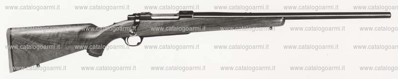 Carabina Ruger modello 77-V (581)