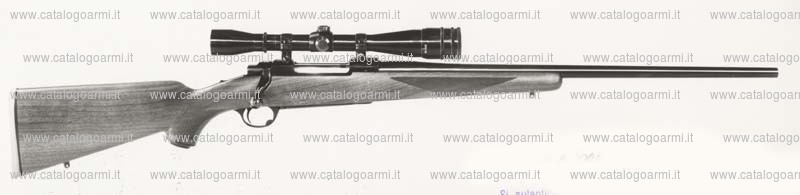 Carabina Ruger modello 77-V (582)
