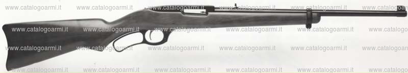 Carabina Ruger modello 96 (finitura brunita o satinata) (tacca di mira regolabile) (10039)