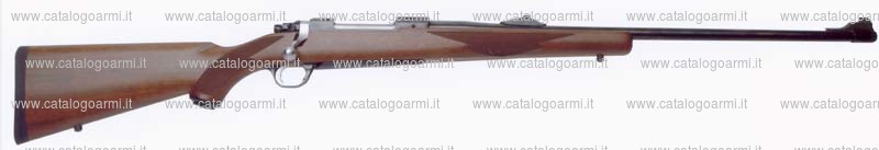 Carabina Ruger modello M77 (16853)