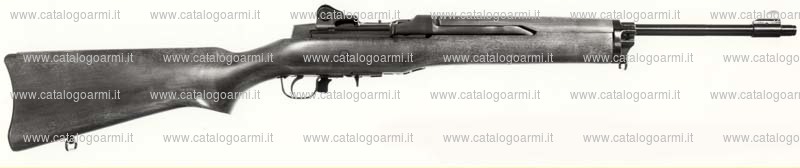 Carabina Ruger modello Mini 14 (3596)