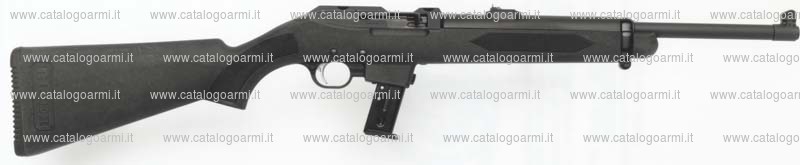 Carabina Ruger modello Ruger Carbine (10470)