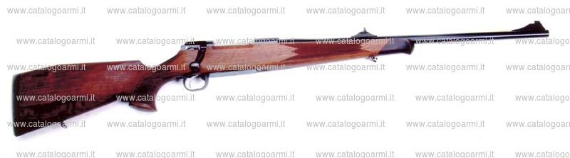 Carabina SAN SWISS ARMS AG modello SHR 970 (13632)