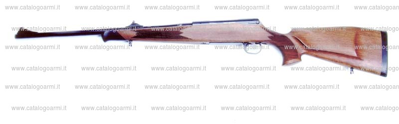 Carabina SAN SWISS ARMS AG modello SHR 970 (13713)