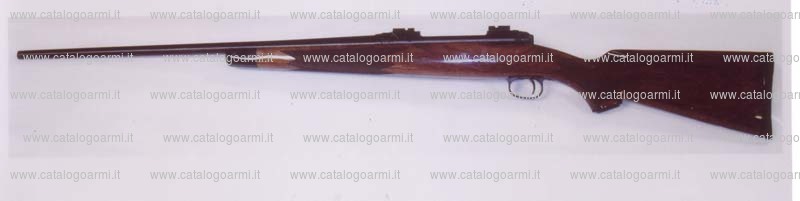 Carabina Savage modello 11 (13027)