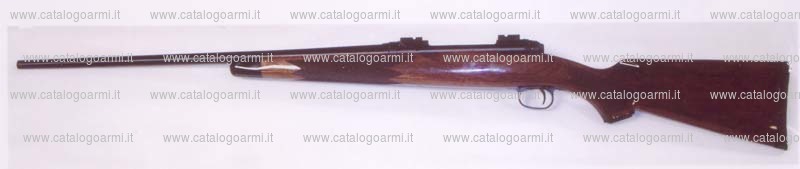 Carabina Savage modello 114 (13049)