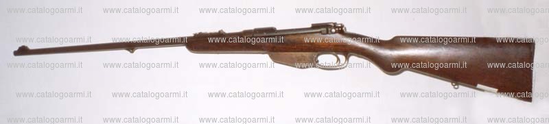 Carabina Steyr modello 1893 (13755)