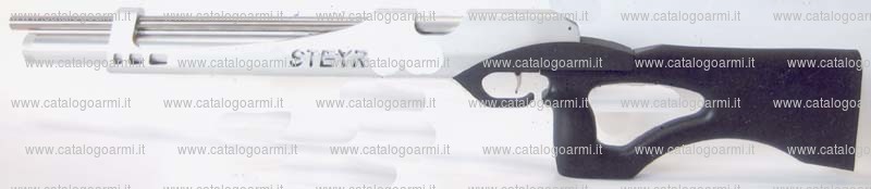 Carabina Steyr modello LG 110 (16750)