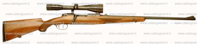 Carabina Steyr Mannlicher modello GK (15906)
