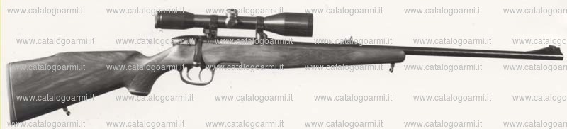 Carabina Steyr Mannlicher modello L (251)