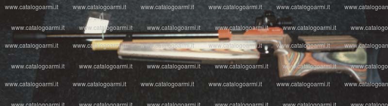 Carabina Steyr Mannlicher modello LG 1 P (diottra regolabile e mirino in tunnel) (10614)