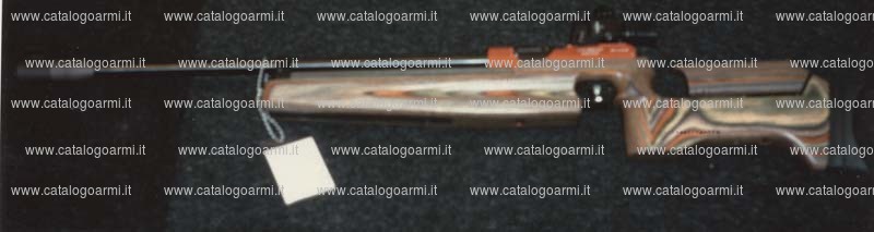 Carabina Steyr Mannlicher modello LG 10 (diottra regolabile e mirino in tunnel) (10613)