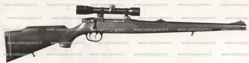 Carabina Steyr Mannlicher modello M (250)